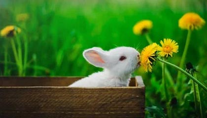 曼城搅局！赫塔德国新秀成四雄争夺对象，巴萨“低成本”计划能否自救？